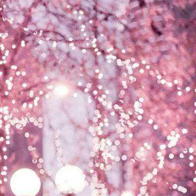 澳门天天免费资料大全下载手机app下载